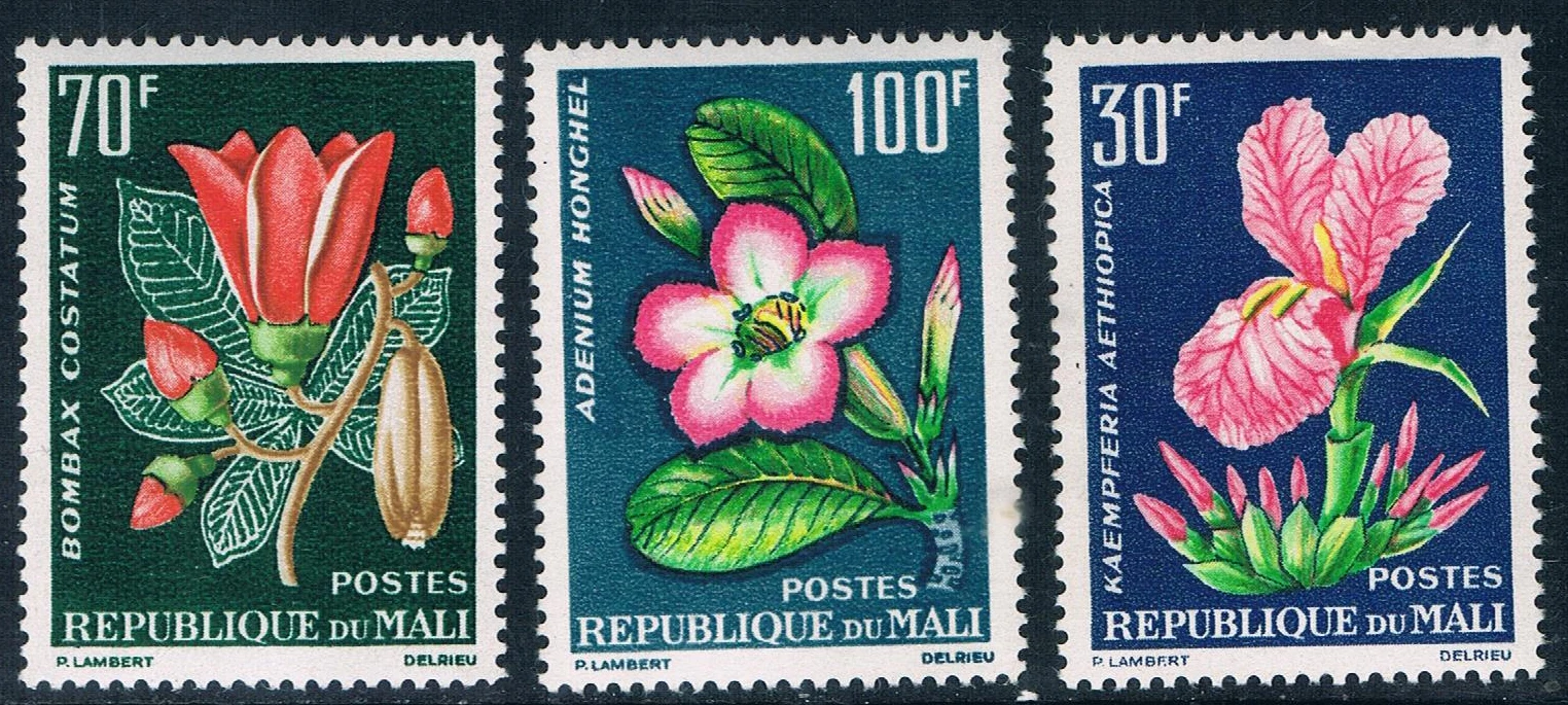 3 бр./компл. Нова Пощенска марка Мали в Африканския стил 1996 Тропически Цветя и растения Марка MNH