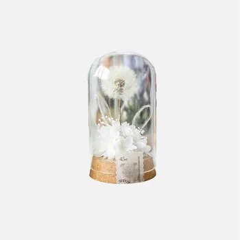 2 компл./опаковане. 5*7 см най-Малкият Размер на Пробковое Основа Стъклен Купол Декорация на Дома, Бутилка За Съхранение на Сухи Цветя, САМ Подарък на Приятел Покриване на Ваза 1