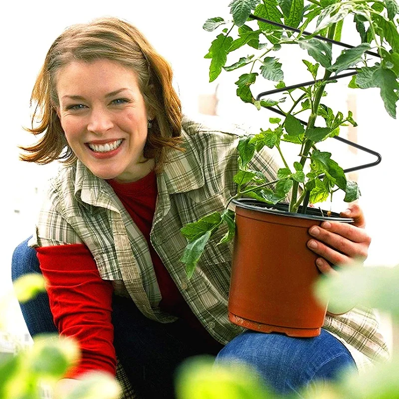 2 БР. Градинска решетка-Устойчива на ръжда Метална поддържаща линия за лозови растения, подходяща за градински увивни стъбла и увивни растения в саксии 1