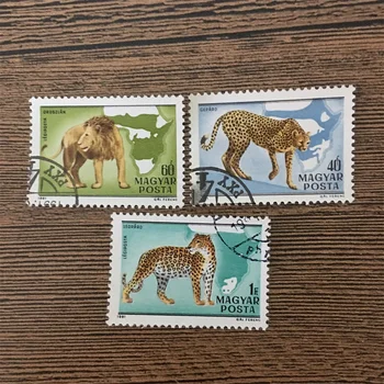 3 бр./компл. Пощенски марки Унгария 1981 Лъв и Леопард Използвани Пощенски Марки с Маркировка за Колекционери