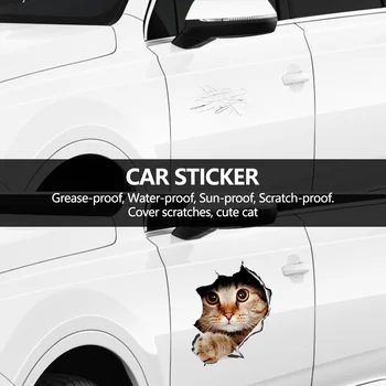 (4 бр.) 3D Стикер с изображение на Котка / Стикер за windows, камион, кола, лаптоп или iPad 3