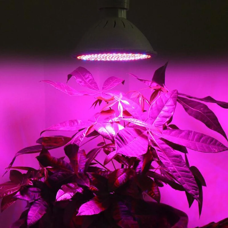 200 LED Лампа за Отглеждане на Растения, Лампи за Отглеждане на Крушки, Система за Хидропонно за Растения, Цветя, зеленчуци, Зеленчукови Закритата Оранжерия E27 T1 3