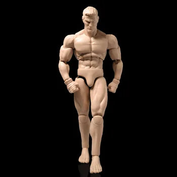 GWToys 1/12 6 Инча Войници Тялото Подвижната Кукла Живопис Фигура Модели На Мускулите В Човешкото Тяло Колекция