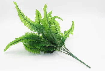 Персийски декоративна трева зеленина Зелено растение Сватбена украса растение, с монтиран на стената лист от папрат